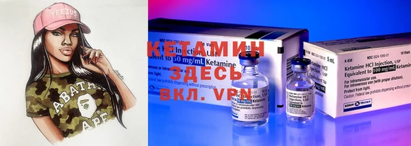 крисы Алексин