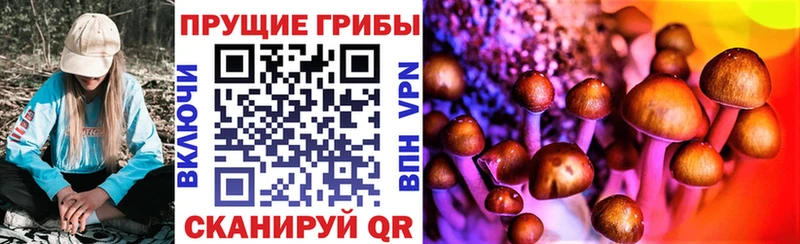 Галлюциногенные грибы GOLDEN TEACHER  Арск 